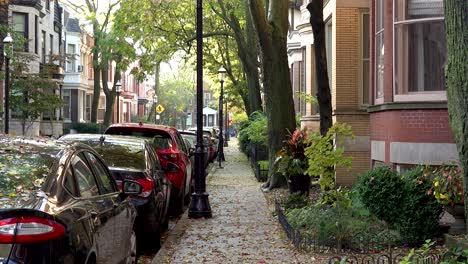 chicago sidewalk covered in autumn leaves