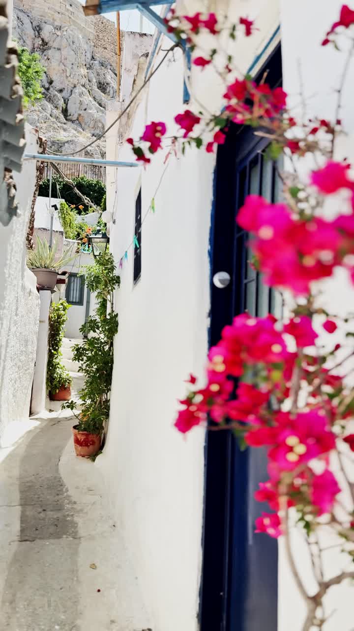 Vibrant Pink Bougainvillea Flowers in an Athens Alley