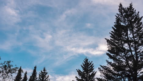 Pinos-Con-Nubes-Rodando-Lapso-De-Tiempo-En-El-Parque-Nacional-De-Las-Montañas-Rocosas