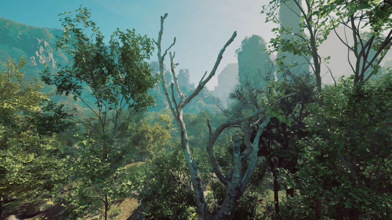 Lush forest landscape showcasing greenery and majestic rock formations