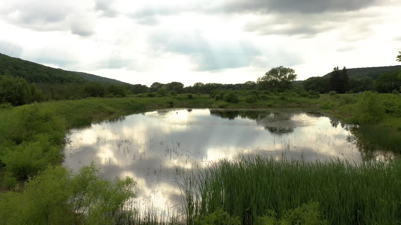 videos aéreos 4k estanque del bosque nacional allegheny en verano