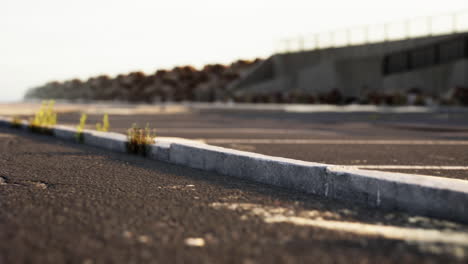 abandoned coastal road