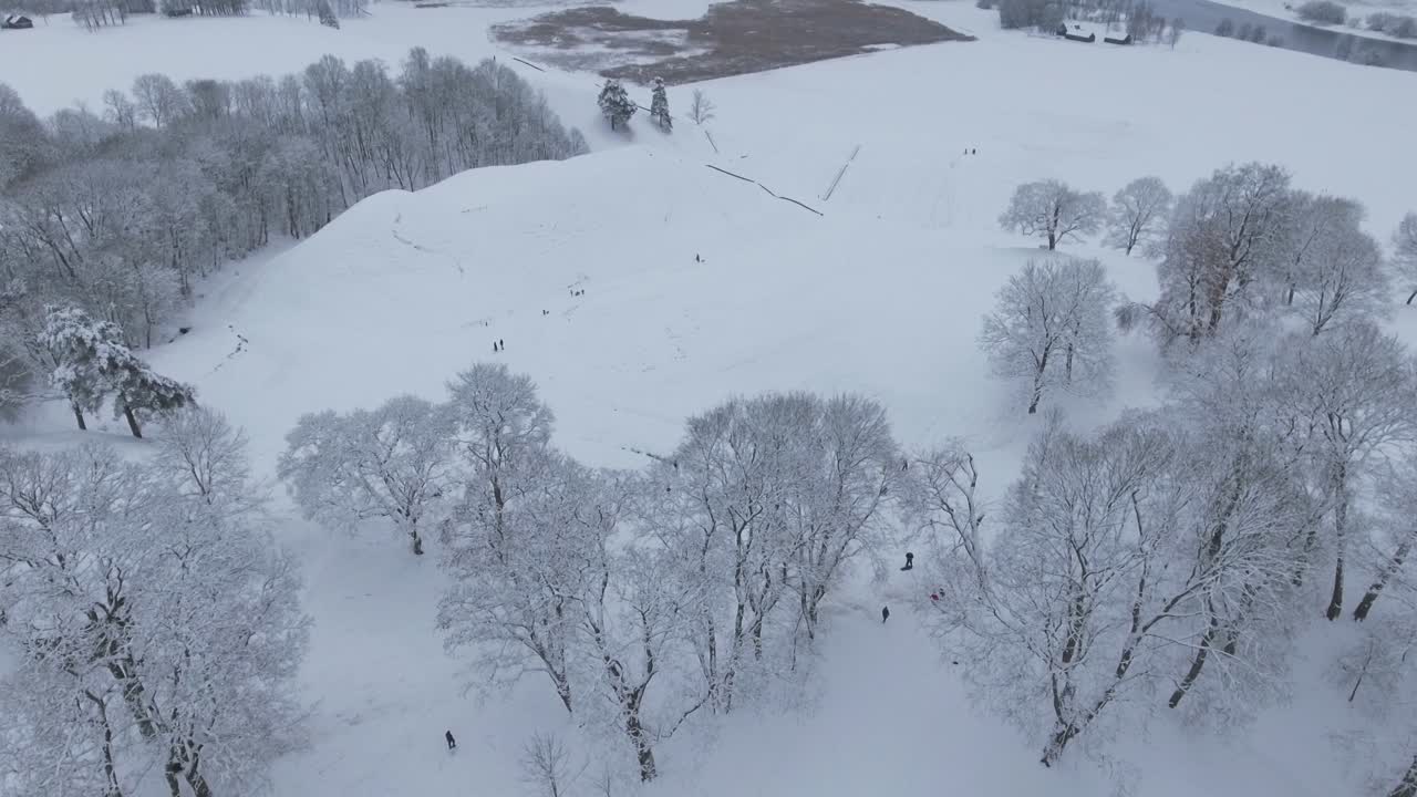 아이들은 겨울에 마운드 언덕에서 썰매를 타고