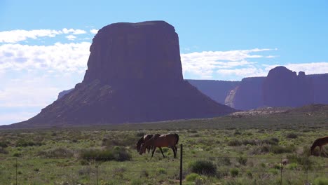 Los-Caballos-Pastan-Con-La-Belleza-Natural-Del-Valle-Del-Monumento-Utah-En-El-Fondo-1