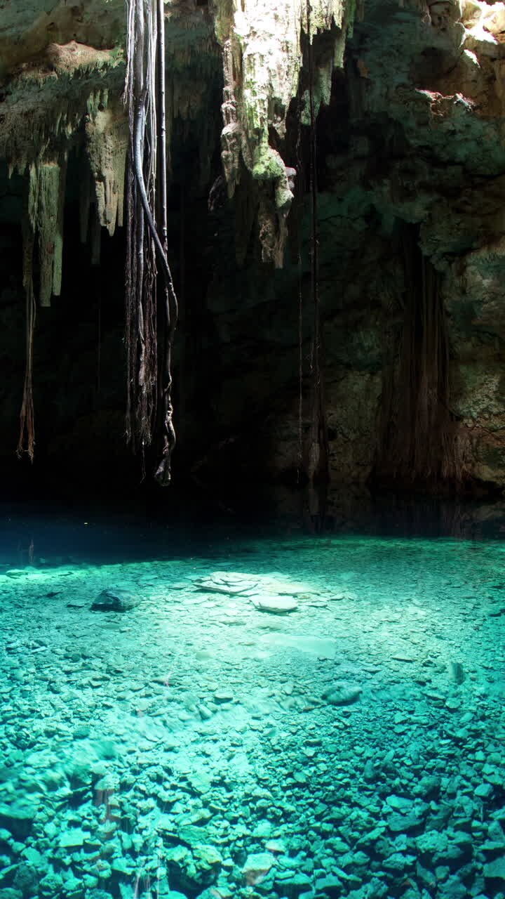 timelapse di un cenote in messico in verticale