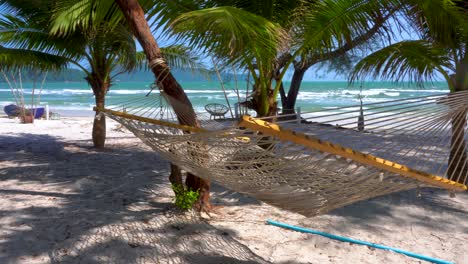 empty hammock swinging in the breeze on a beautiful beach amongst palm trees, surf and waves in background