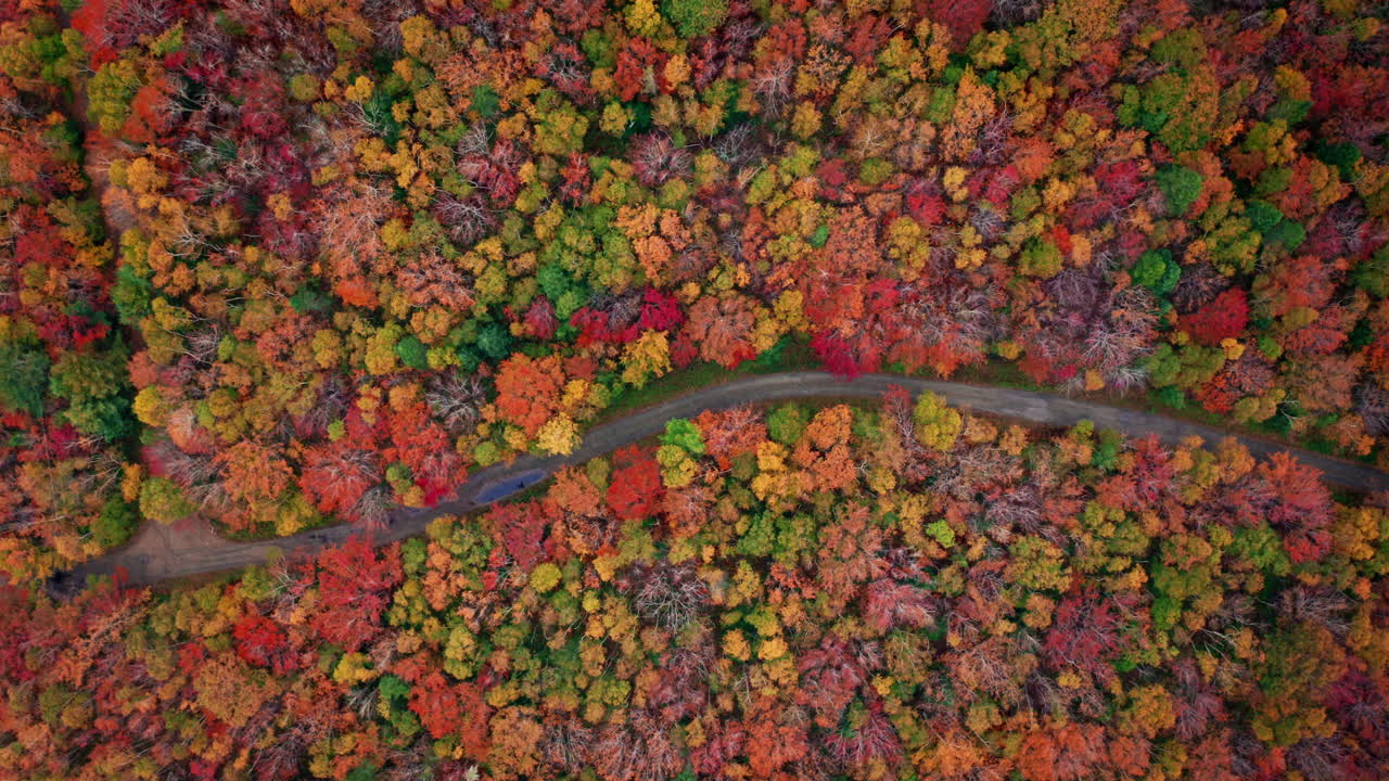 Autumn forest colors. Aerial drone shot over the picturesque landscape of Nova Scotia, Canada.
Bird's eye view of the colorful foliage. Vibrant tree leaves. Fall landscape.
