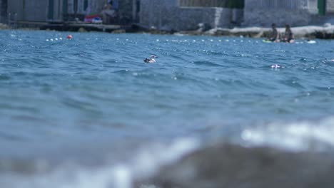 Gaviotas-Flotando-En-Las-Olas,-Gente-En-El-Tablero-De-Remo-En-El-Fondo---Disparo-En-Cámara-Lenta-Desde-El-Nivel-Del-Agua