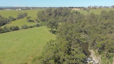 Toma-Aérea-De-Un-Río-Que-Fluye-A-Través-Del-Verde-Y-Exuberante-Campo-De-Victoria-Australia