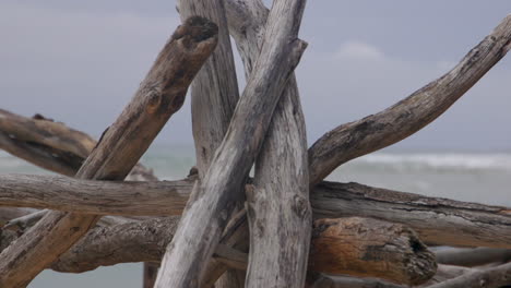 drift wood used to make a shelter for marooned castaways on a deserted island