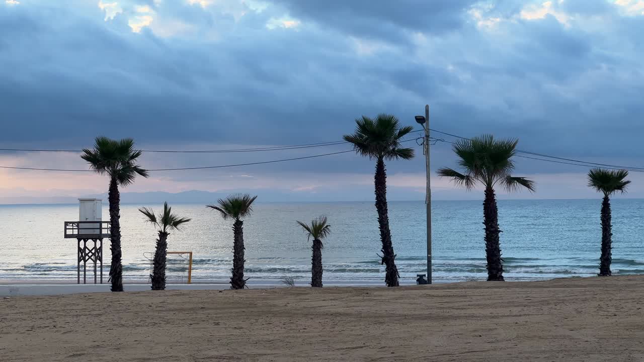 Una amplia toma panorámica de una playa desierta y prístina bordeada de emblemáticas palmeras