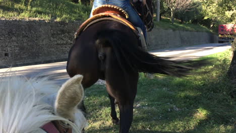 horse-ride-in-Cusano