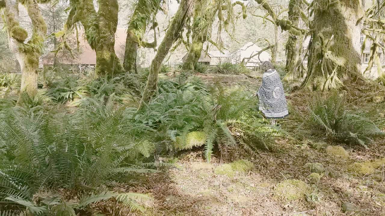 Shaman woman walking away through lush green ferns in a rainforest, thanking her ancestors for abundance