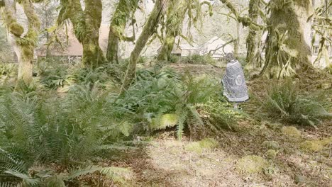 shaman woman walking away through lush green ferns in a rainforest, thanking her ancestors for abundance