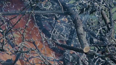 burning pile stack of tree branches close up time lapse