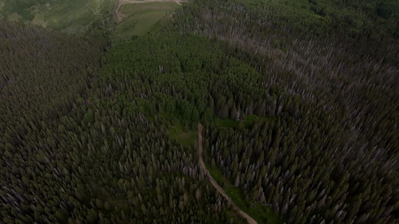 Summer Last Dollar Road aerial drone pan down birdseye view Mount Sneffels Wilderness San Juan Rocky Mountains Telluride airport four wheel drive Colorado Uncompahgre Forest blue sky landscape