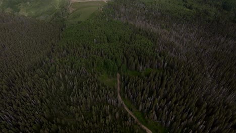 summer last dollar road aerial drone pan down birdseye view mount sneffels wilderness san juan rocky mountains telluride airport four wheel drive colorado uncompahgre forest blue sky landscape