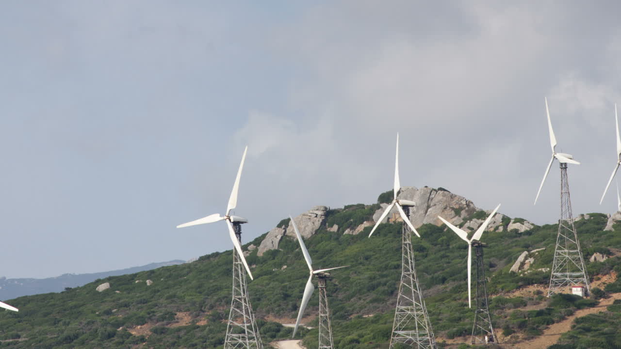 타리파 풍력 터빈 03