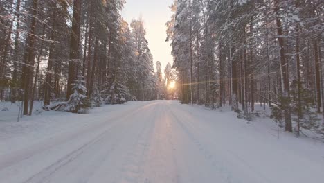 Scenic-snowy-drive-POV-in-low-winter-sunlit-forest-environment-Finland