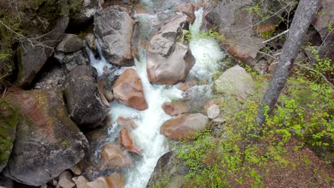 whitewater rushing over rocks inside flume gorge, surrounded by mossy forest