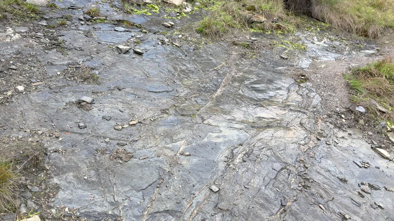 Camera slowly pans across wet rocky stream bed, forest vegetation, overcast daylight, natural setting
