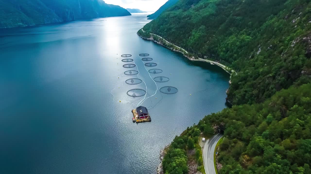 노르웨이에서 연어  ⁇ 시를 하는 공중 촬영