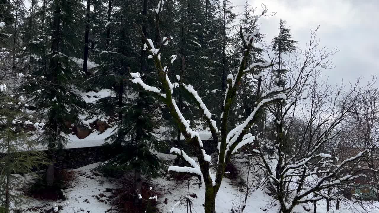 카슈미르 인도 의 도로 에 눈, 스노우보드, 그리고 웅장 한 풍경