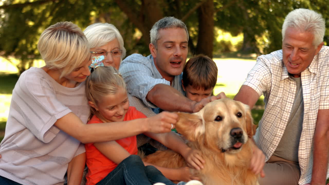 공원 에서 개 와 함께 행복 한 가족