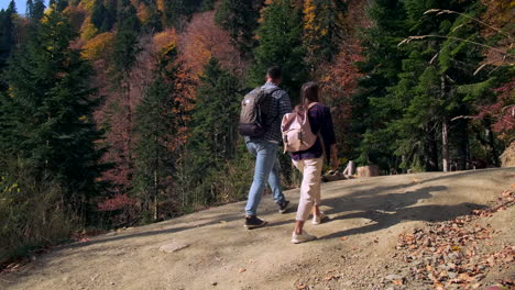 couple hiking in autumn forest