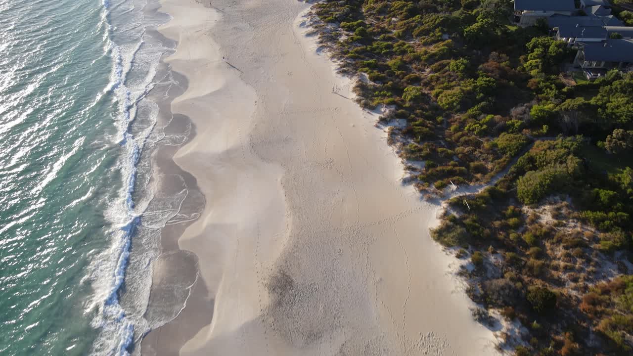 Drone aerial over a white sand beach with blue water and national Australian trees