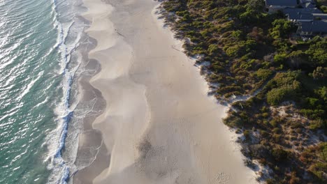 Avión-Teledirigido-Sobre-Una-Playa-De-Arena-Blanca-Con-Agua-Azul-Y-árboles-Nacionales-Australianos.