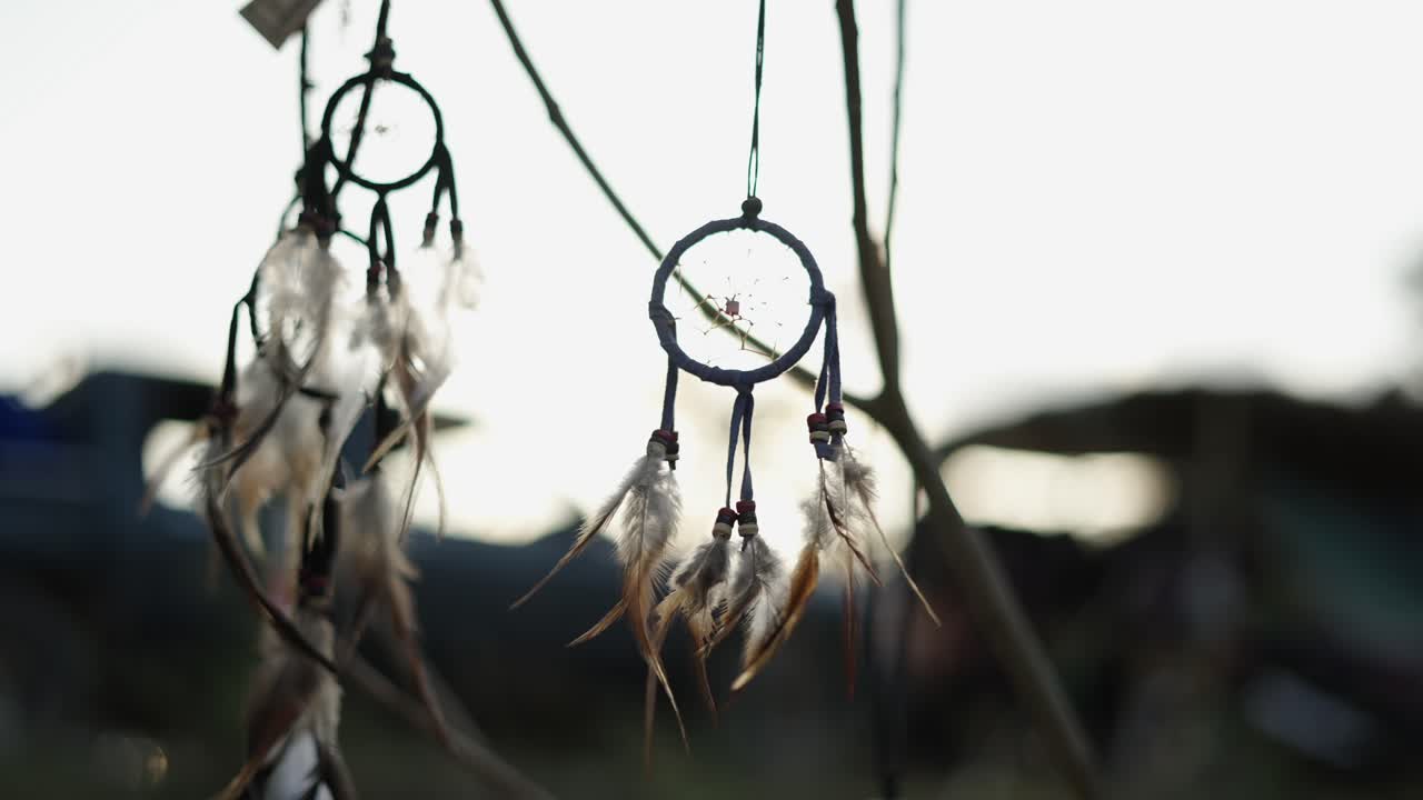 Dream Catchers with Feathers Hanging Outdoors
