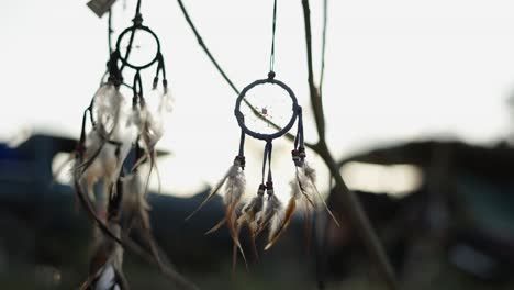 dream catchers with feathers hanging outdoors