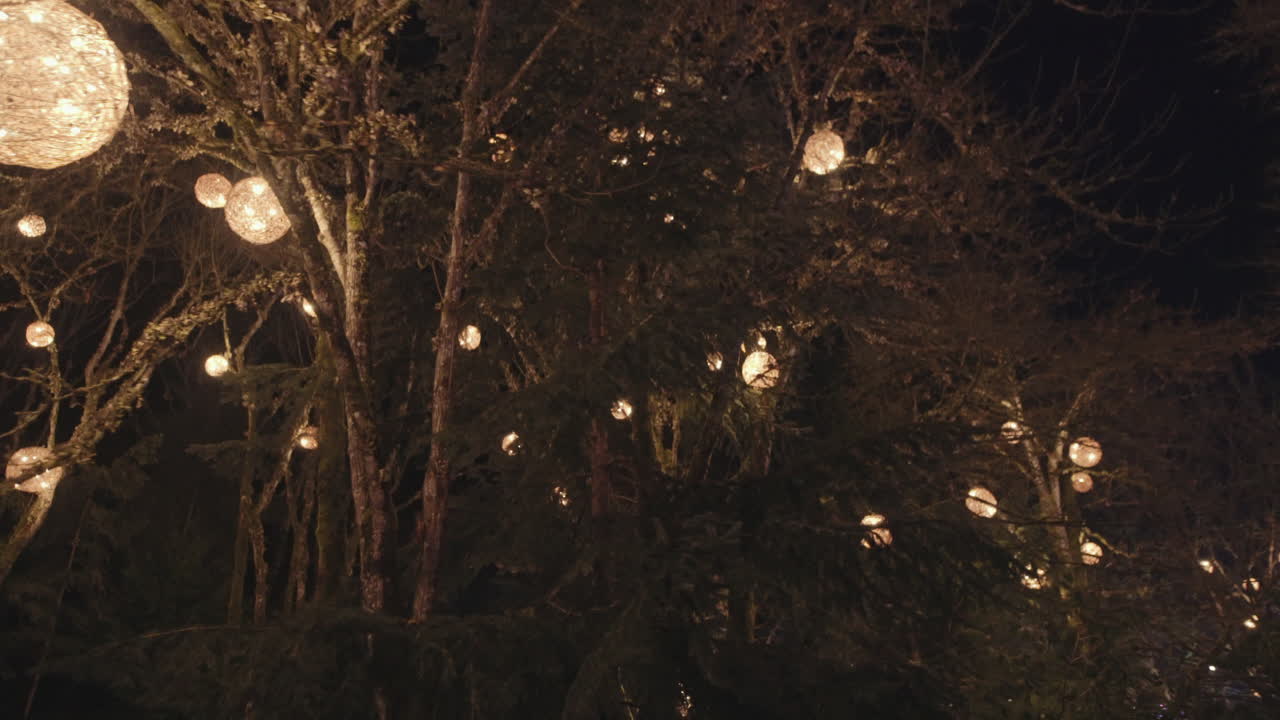 따뜻한 빛 공 장식으로 장식된 나뭇가지, 밤