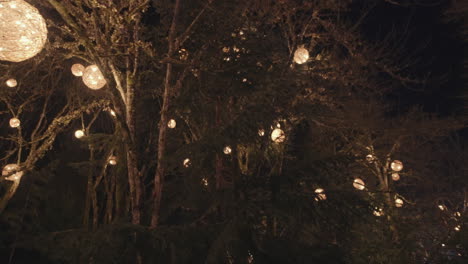 tree branches decorated with warm light ball decorations, night