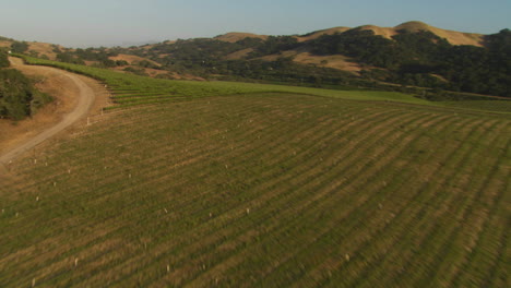 Helikopter-Antenne-Eines-Weinbergs-Im-Santa-Maria-Valley-Kalifornien-3