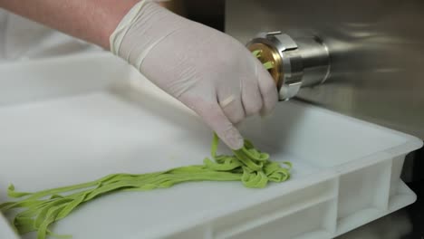 fresh green pasta being made on a machine