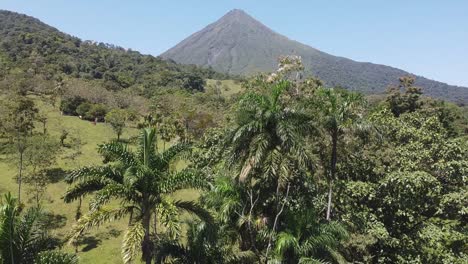 aerial rises past palm trees to reveal tropical arenal volcano beyond