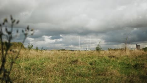 un campo estalla con flores silvestres vibrantes y hierba bajo un dramático cielo nublado gris