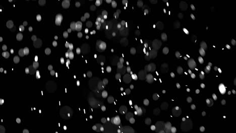 snow particles overlay on super black background