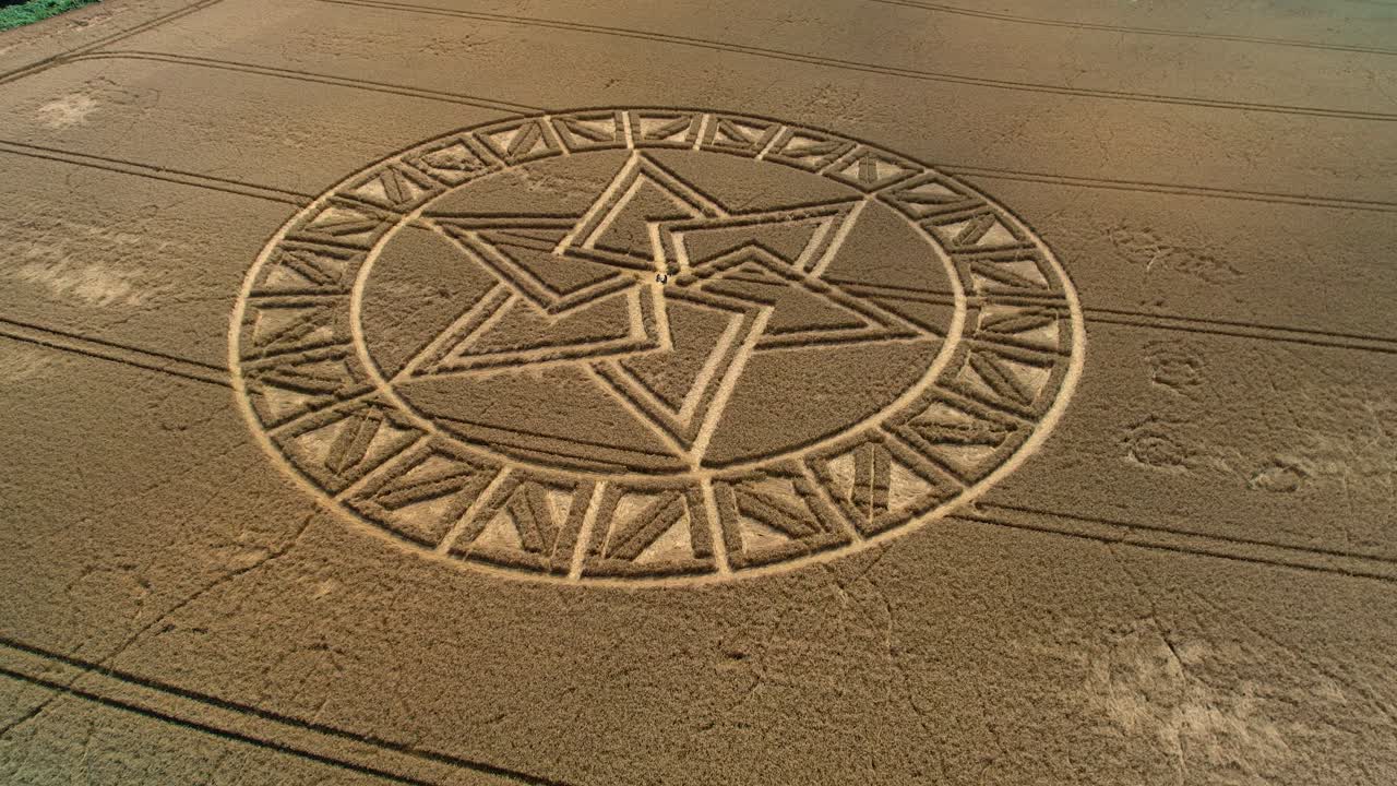 Barley field strange complex crop circle West Meon aerial tilt down over golden meadow