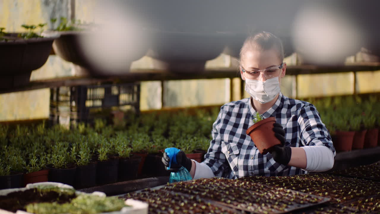 садовник разбрасывает удобрения для растений в теплице 1