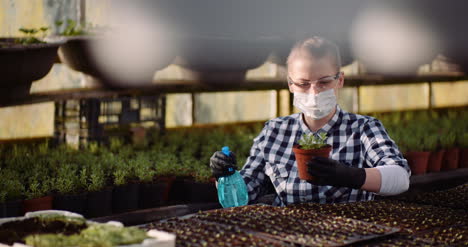 Jardinero-Agrícola-Esparciendo-Fertilizantes-En-Plantas-En-Invernadero-1