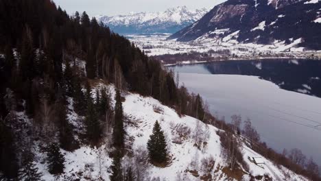 wonderful winter landscape with forest trees by lake in zell am see, aerial