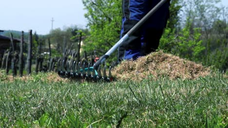 Gärtner-In-Aktion,-Der-Zu-Beginn-Des-Frühlings-Trockenes-Gras-Mit-Strohrechen-Auf-Seinem-Rasen-Entfernt,-Um-Seinen-Rasen-In-Gutem-Zustand-Zu-Halten