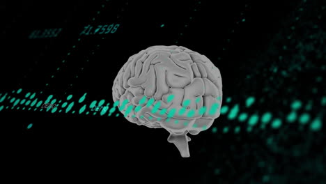 brain animation over digital data and binary coding