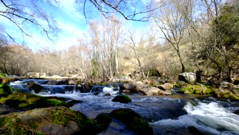 mountain river flowing in rainforest around the villages of la vera in extremadura