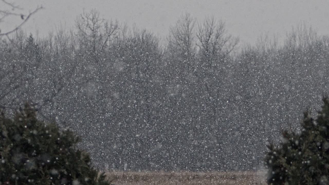 Fluffy snowflakes falling in slow motion | Premium Stock Video Footage