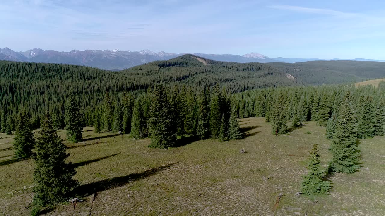 bosques de pinos y asombrosas vistas a las montañas cerca de aspen colorado