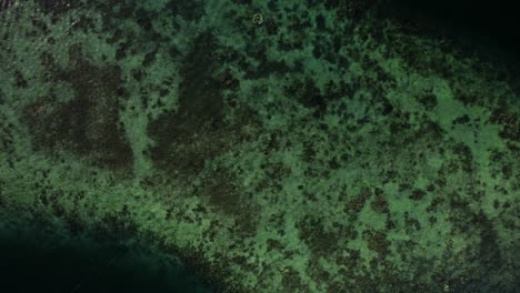 la ubicación de los arrecifes de coral en filipinas, bajo el agua en el océano pacífico, aérea